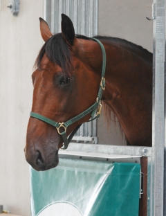 Random Shot 160809-1